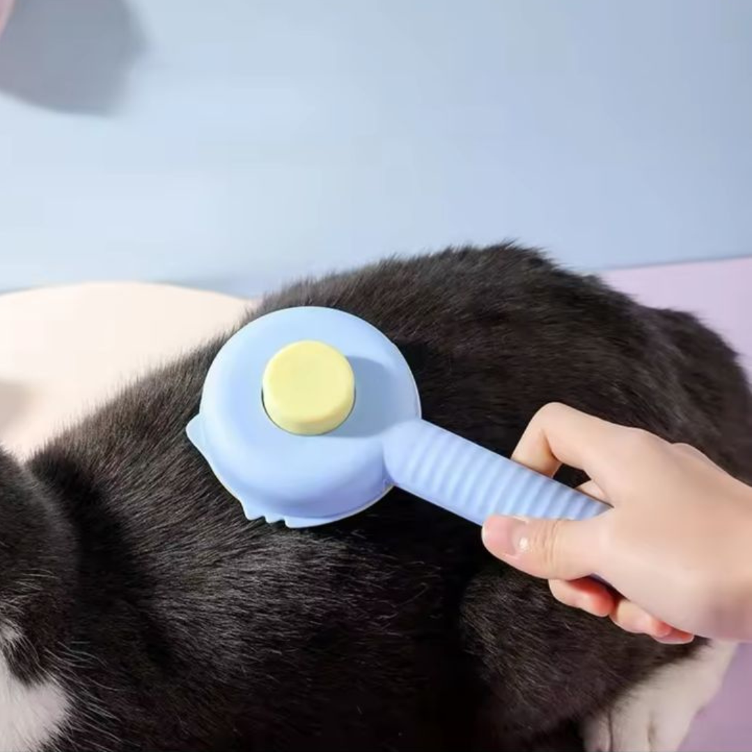 RASQUEADEIRA REDONDA