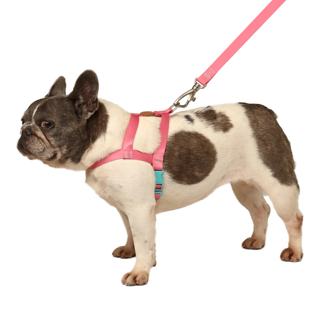 Peitoral Tradicional e Guia Fiji G