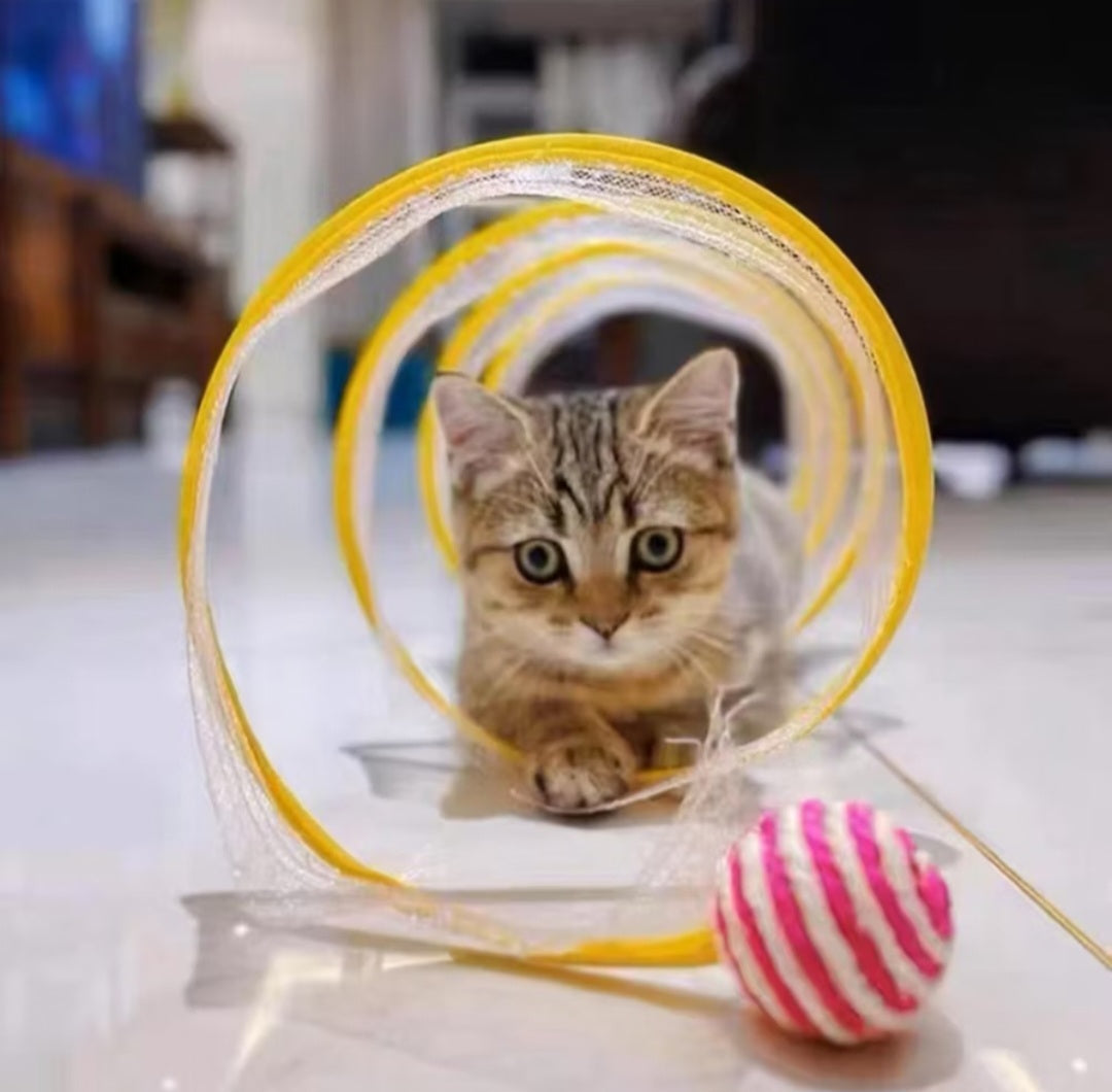 TUNEL ESPIRAL DE GATO