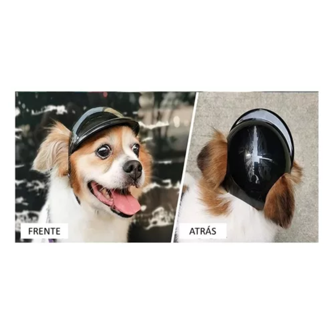 Capacete Motoqueiro Pet