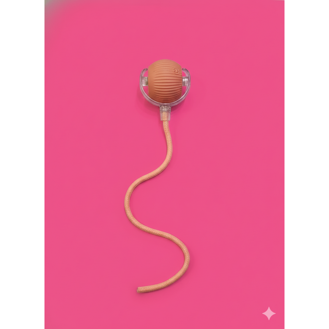 Bola Interativa Giratória