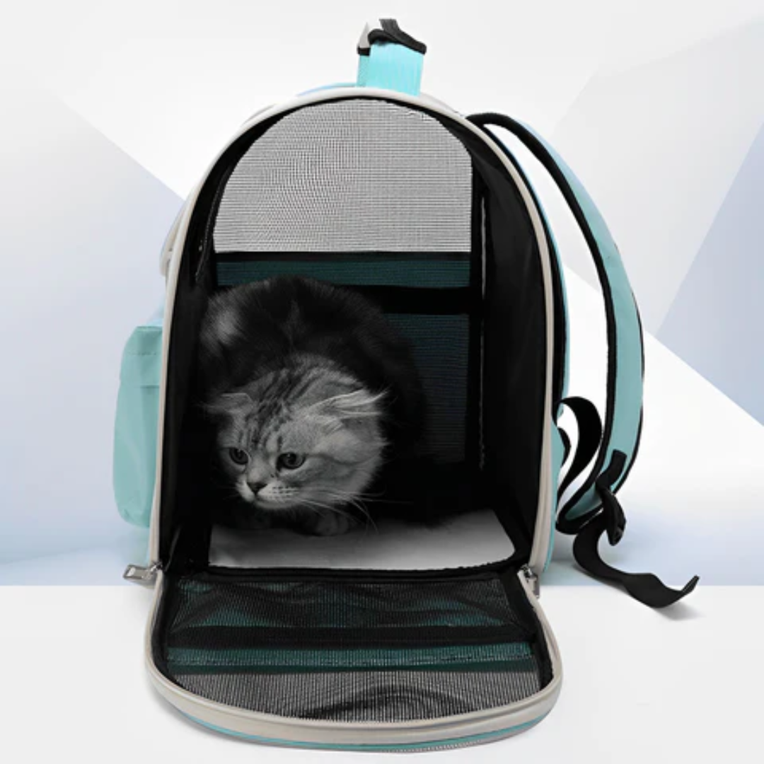 Bolsa De Transporte Hello Cat