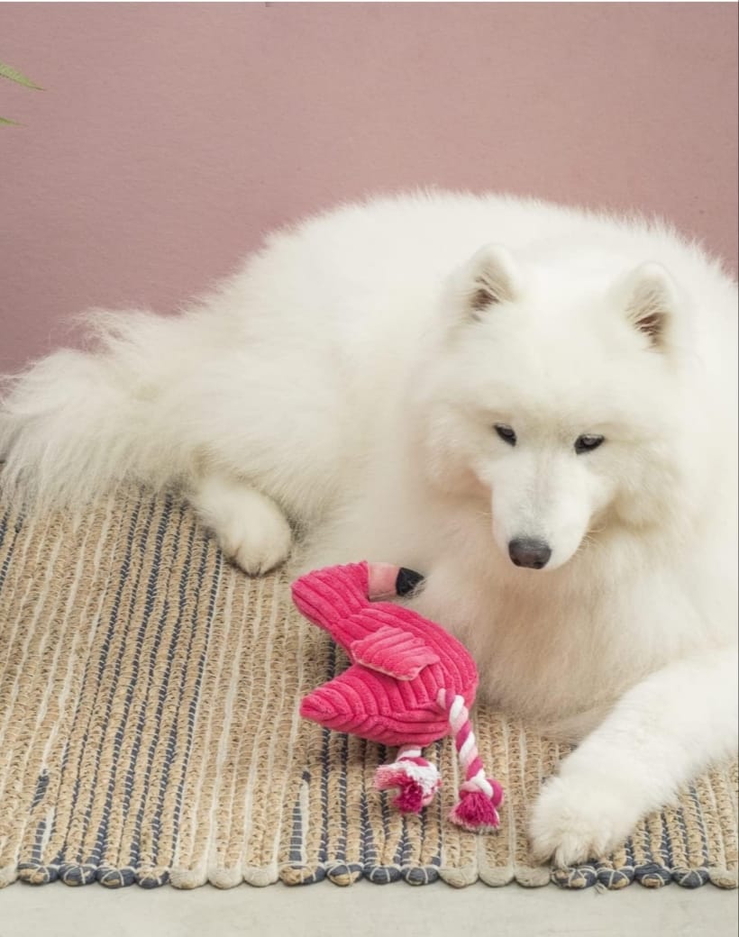 Flamingo Pelúcia Com Som e Corda