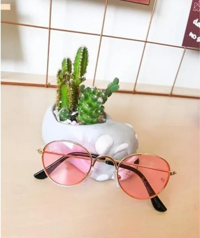 Óculos de Sol Pet