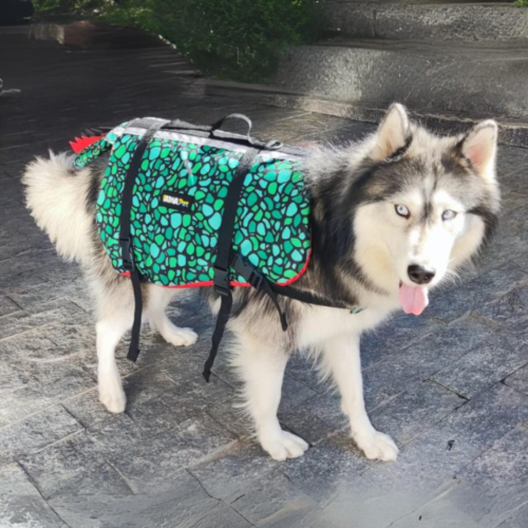 COLETE SALVA VIDAS CROCODINO - M