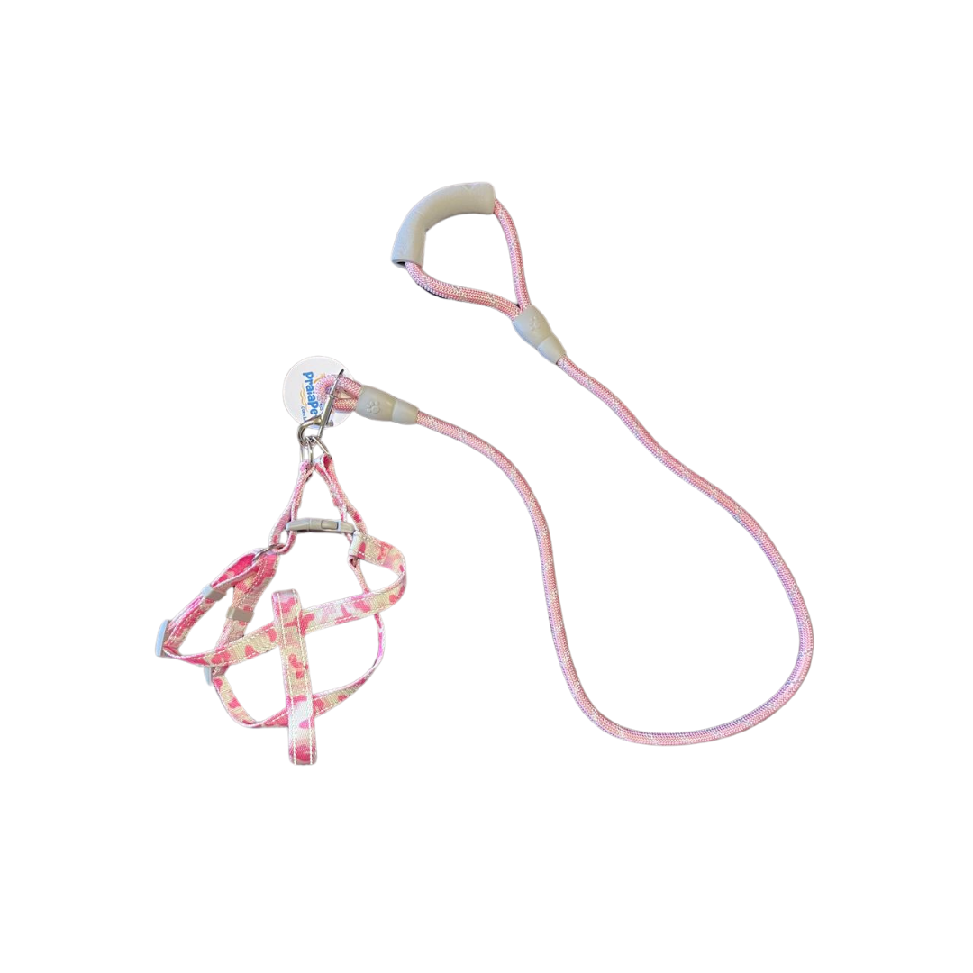 Peitoral + Guia Confort