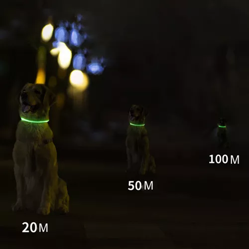 Coleira LED