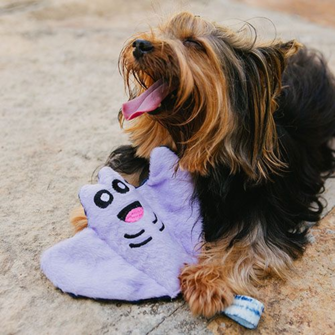 Claudia, a Arraia - G