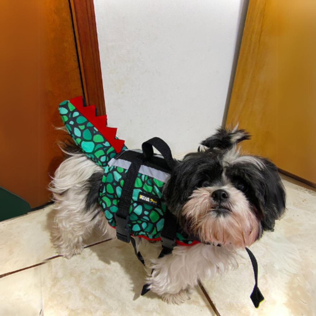 COLETE SALVA VIDAS CROCODINO - P