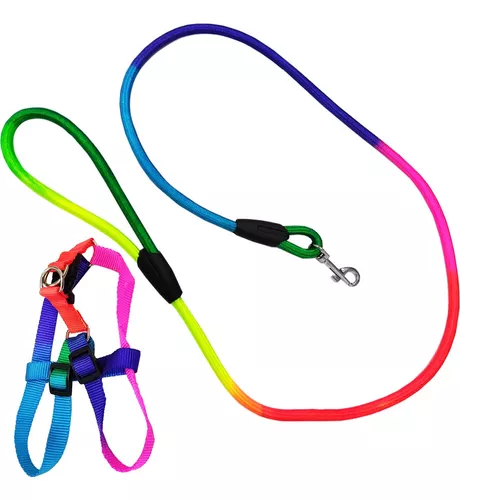 Peitoral + Guia Arco Iris