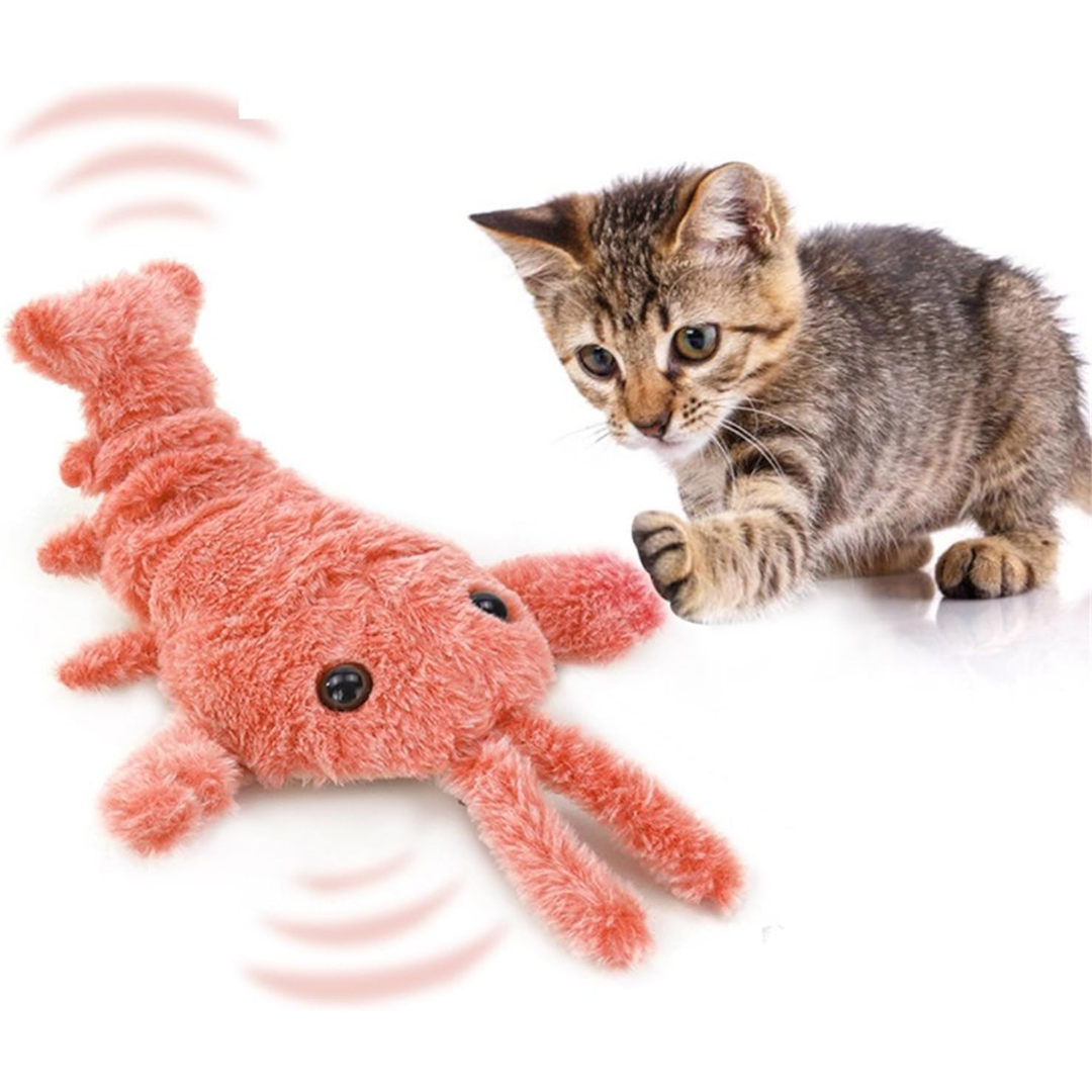 Lagosta Elétrica Que Mexe