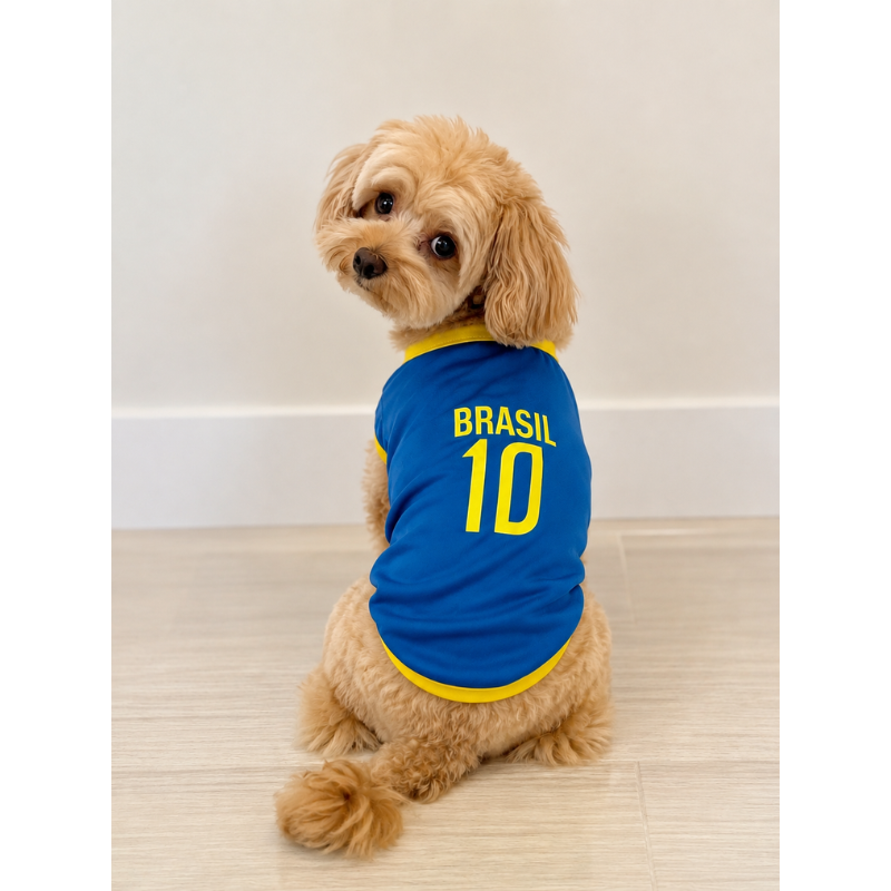 Camisa Brasil Copa Camisa 10