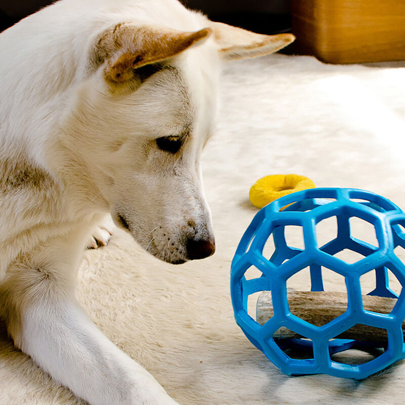 BOLA HOLEE ROLLER SM JW AZUL