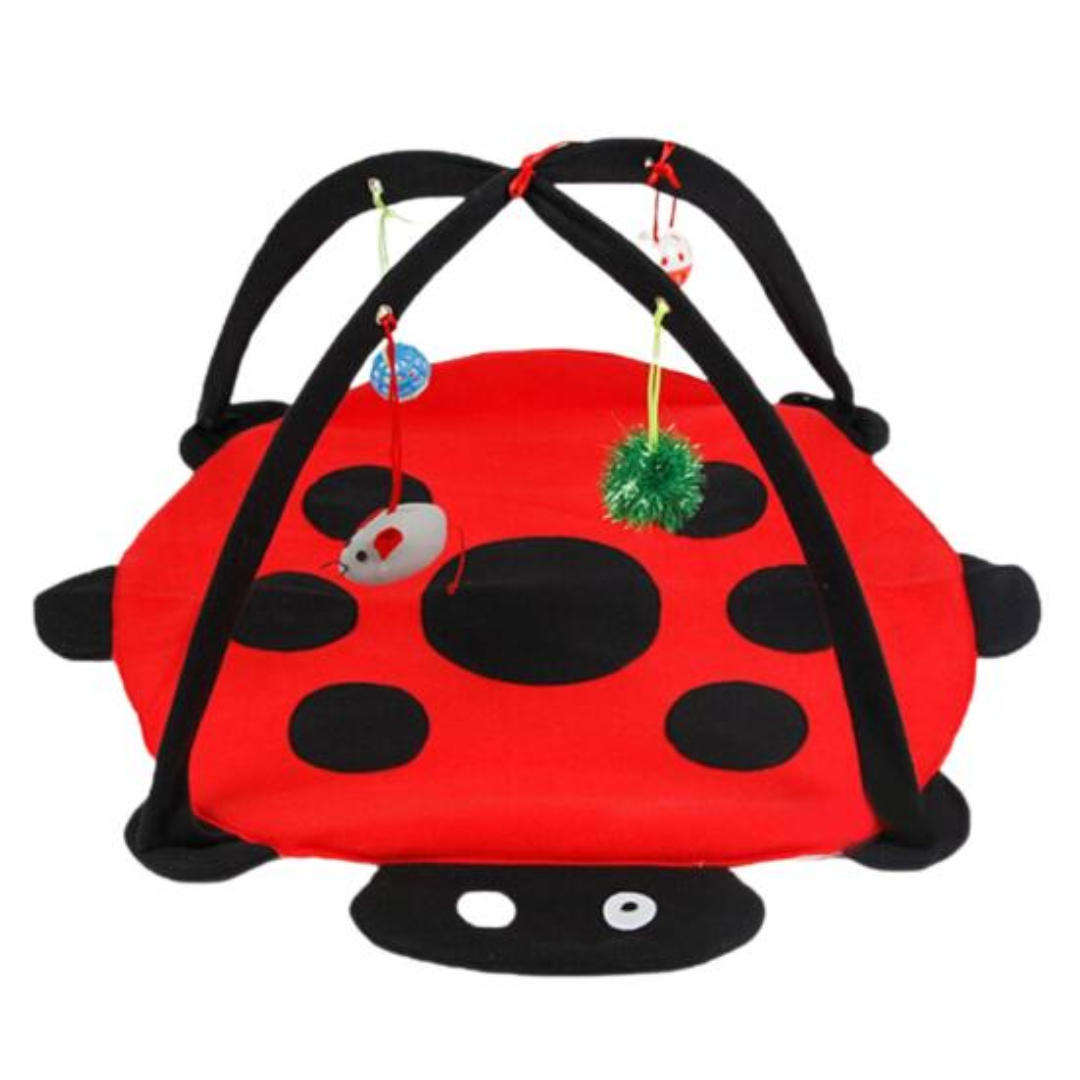 Cabana Interativa Gatos