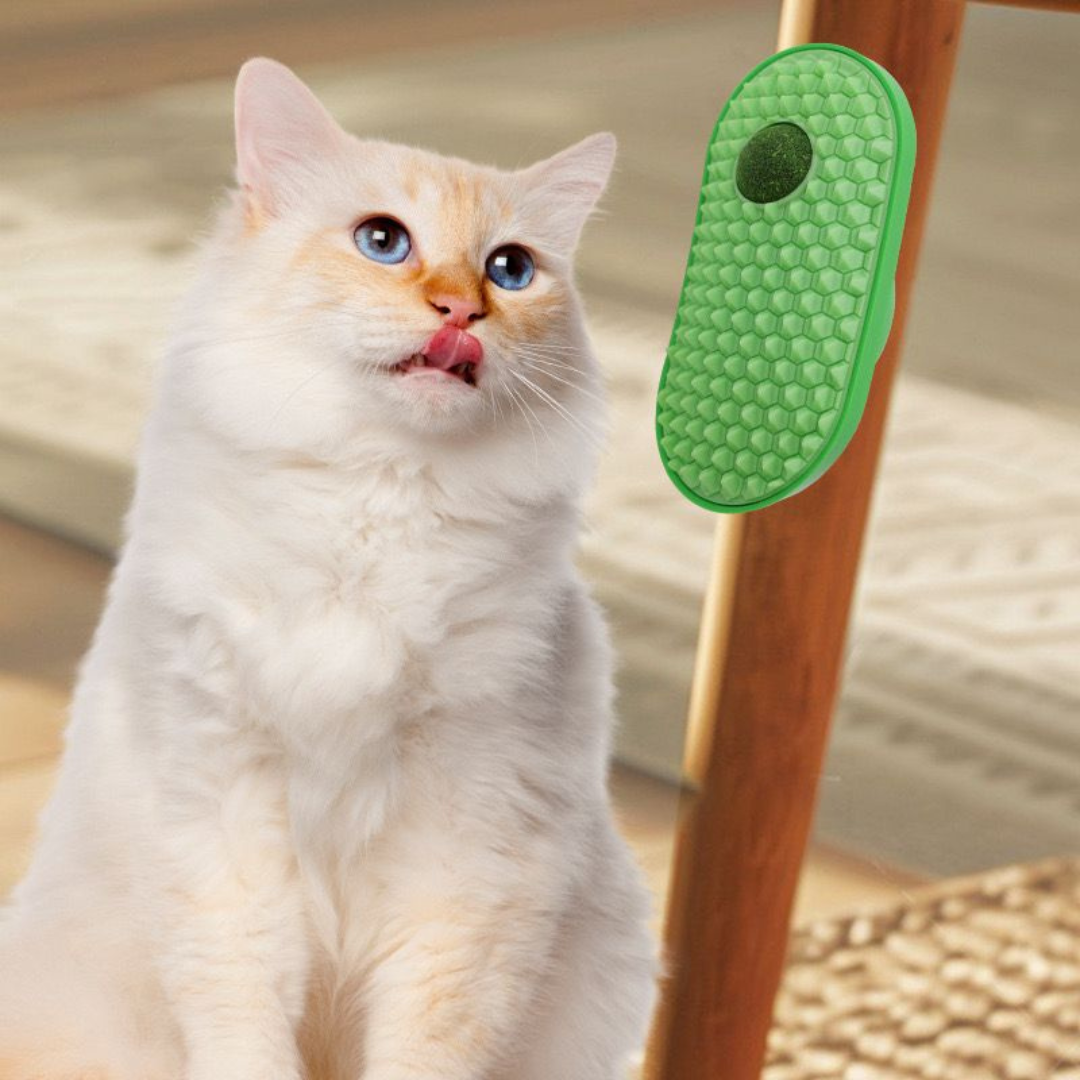 Arranhador De Parede Com Cat Nip