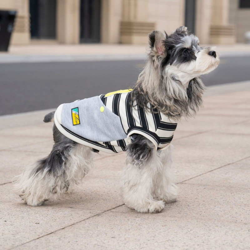 Camiseta Pet Listrada com Bolso e Argola