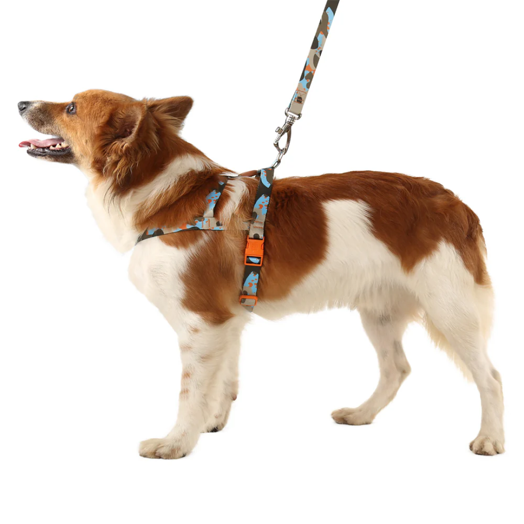 Peitoral Tradicional e Guia Oliva G