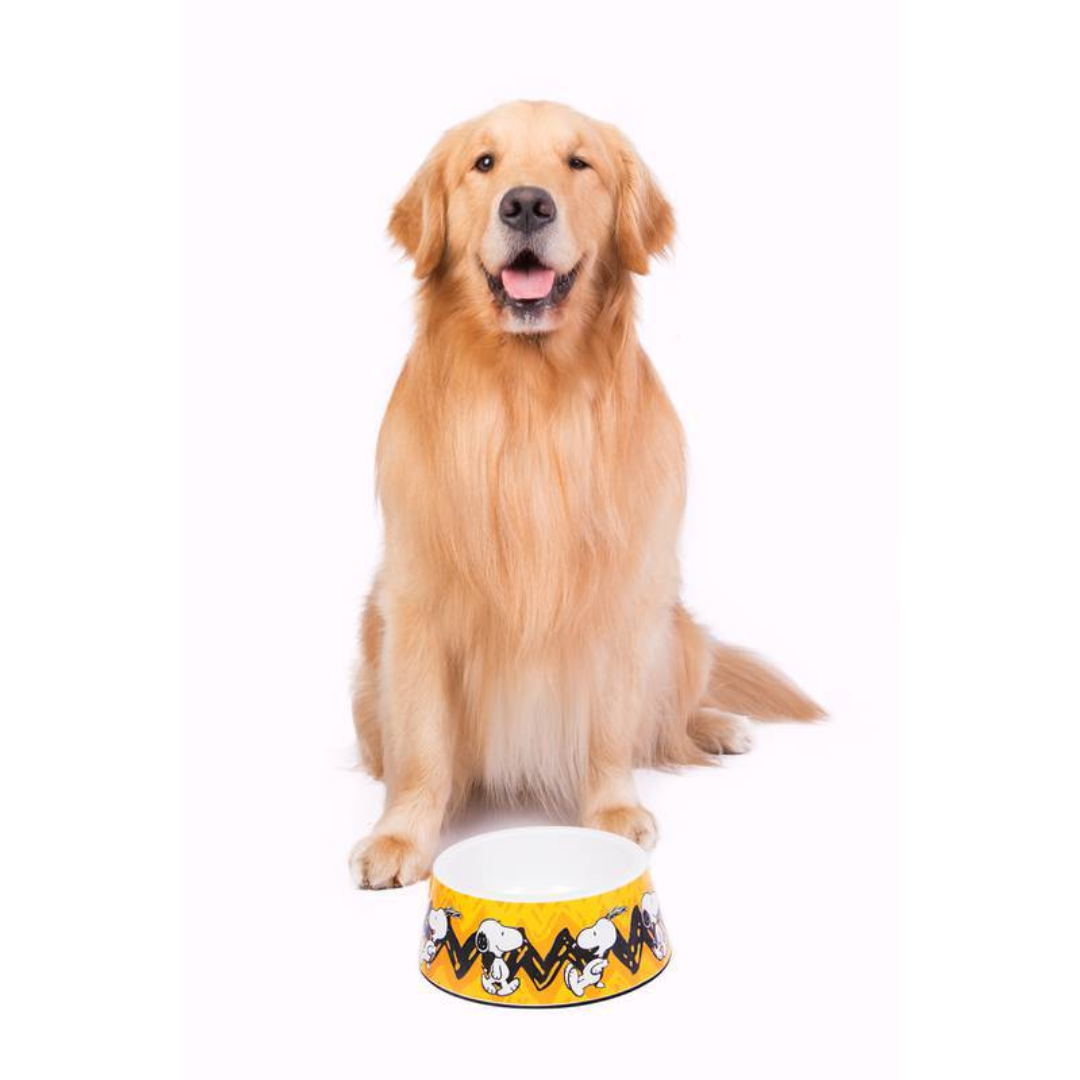 Comedouro Melamina Charle