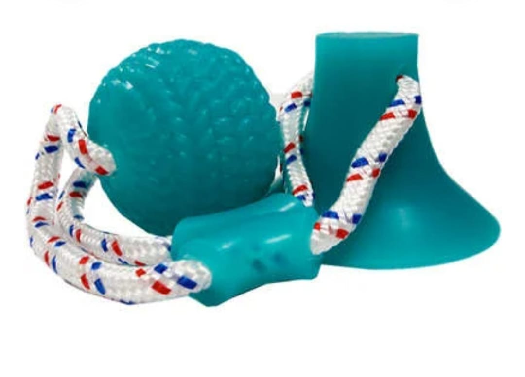 Brinquedo Puxador com Ventosa e Bola