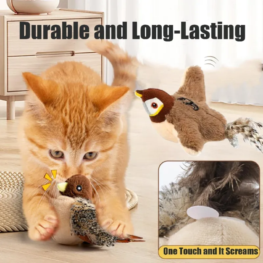 Brinquedo Automatico De Pena Para Gatos