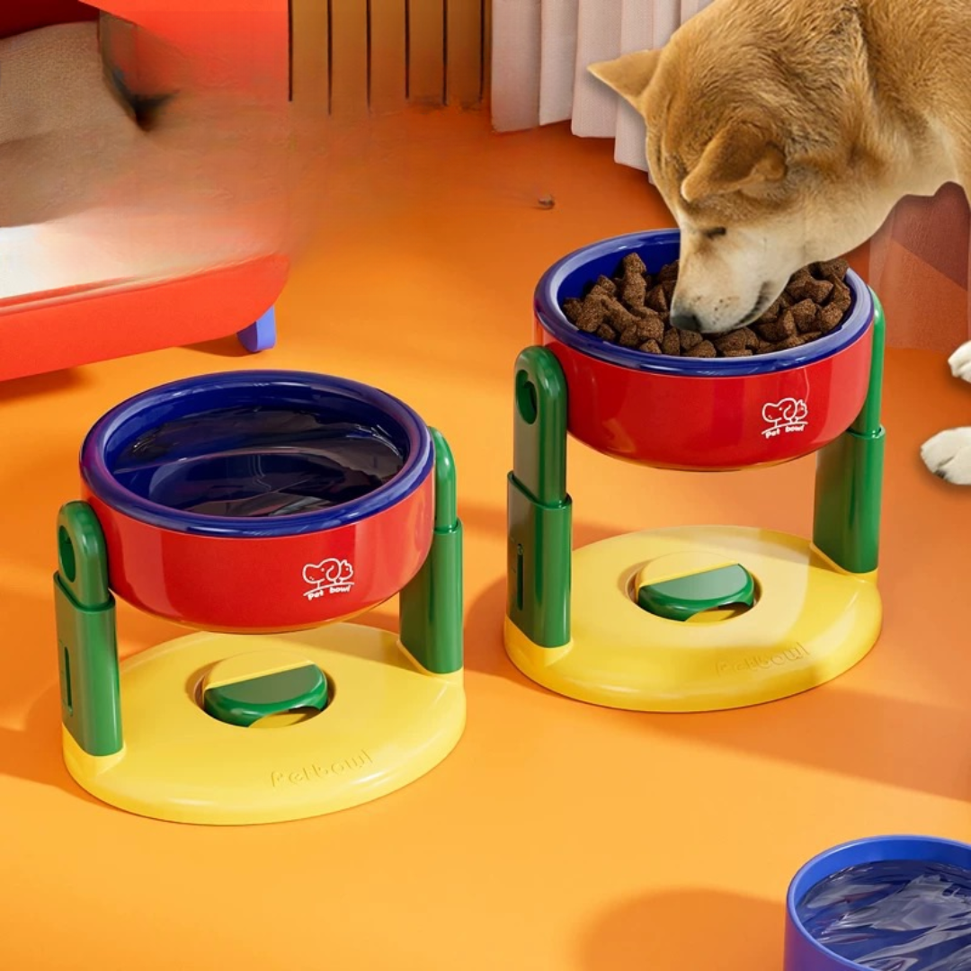 Comedouro Elevado Ajustável Colorido