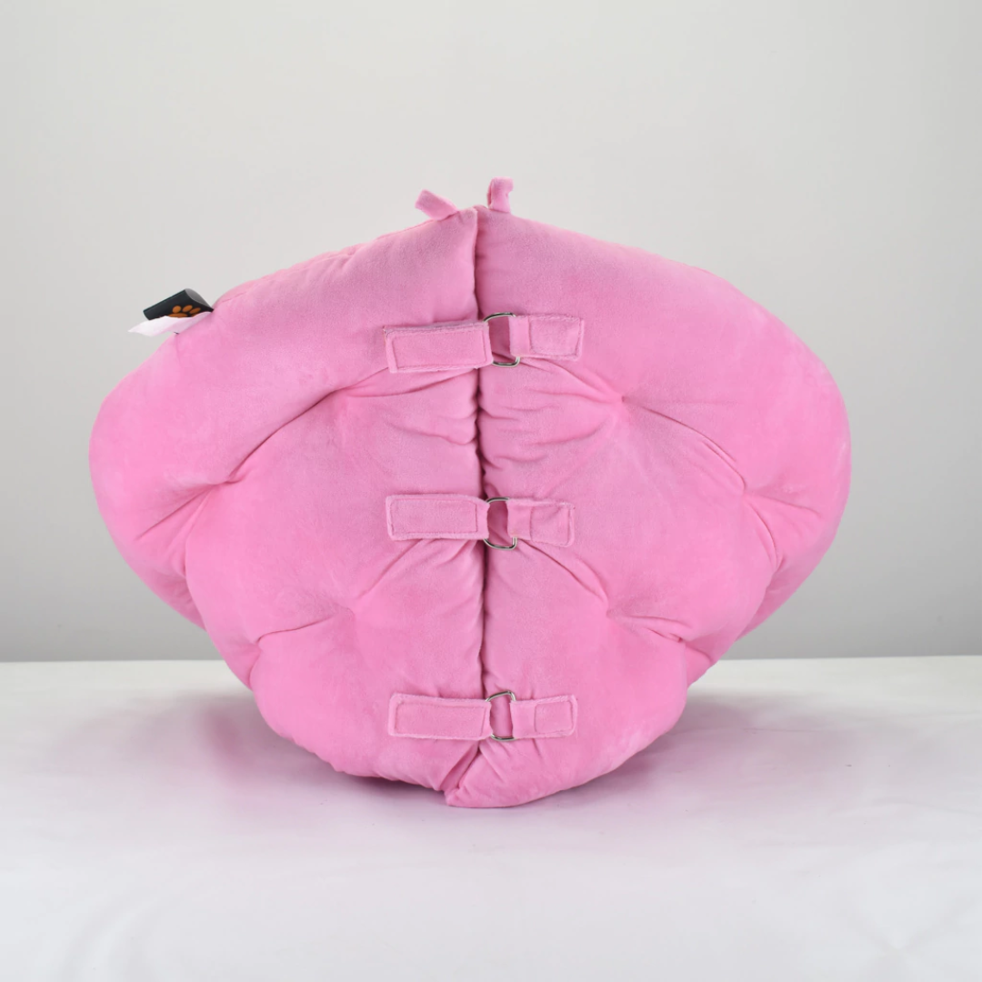 CAMA PET COLCHONETE