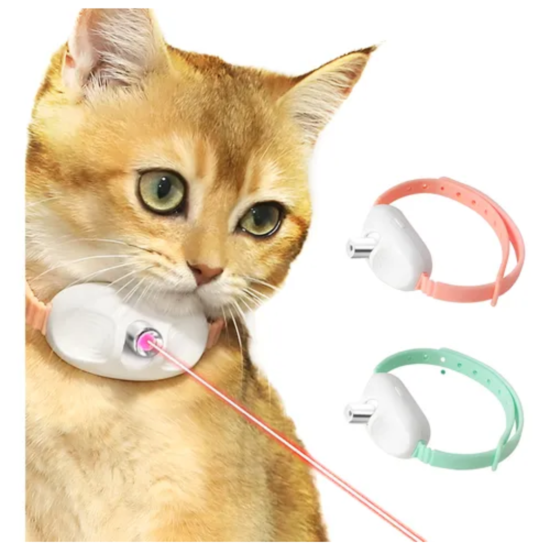 Coleira Laser Gatos