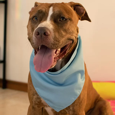 Bandana Dupla Facel Cartoon Colorido