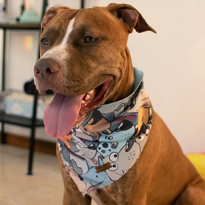 Bandana Dupla Facel Cartoon Colorido