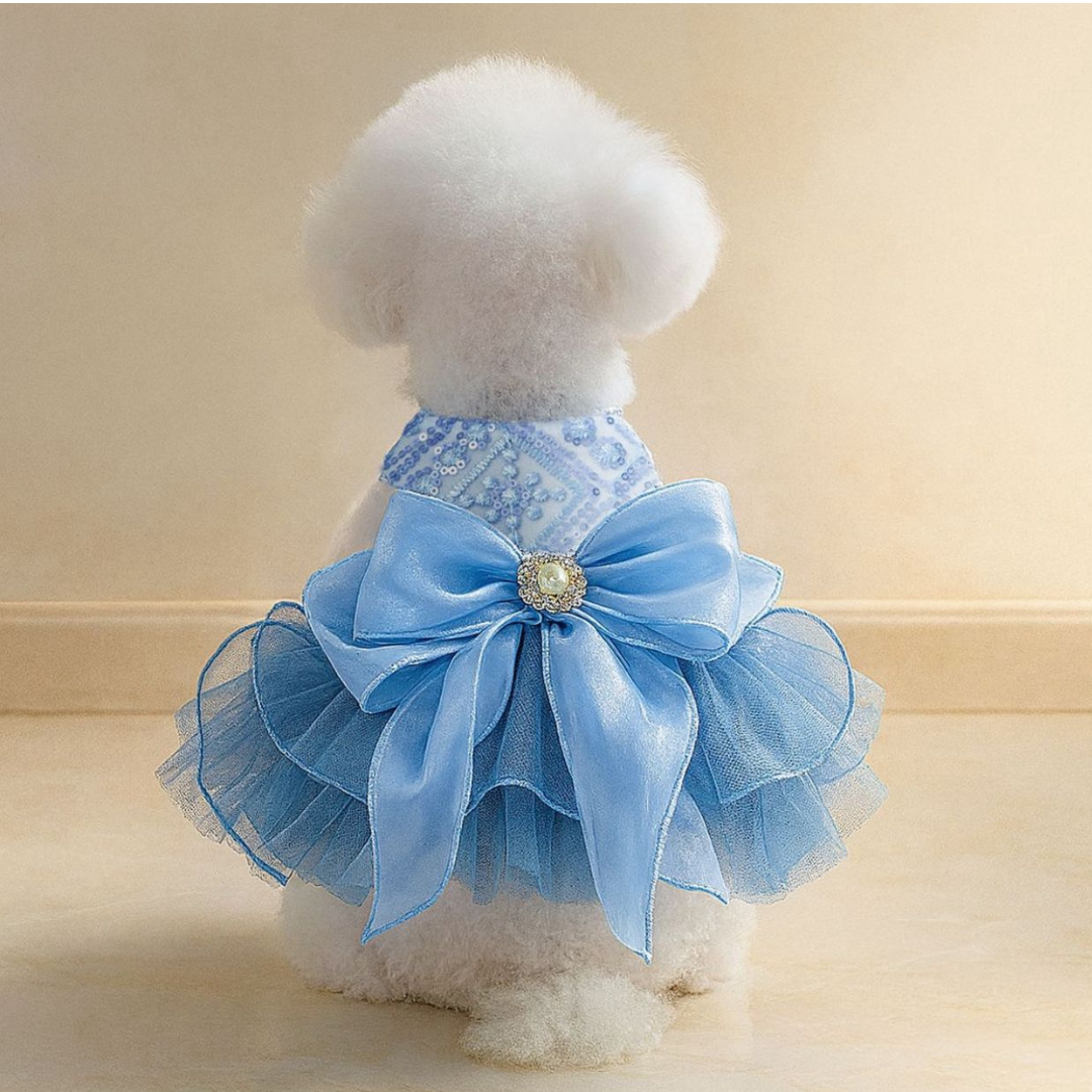 Vestido Cinderela Com Laço Azul