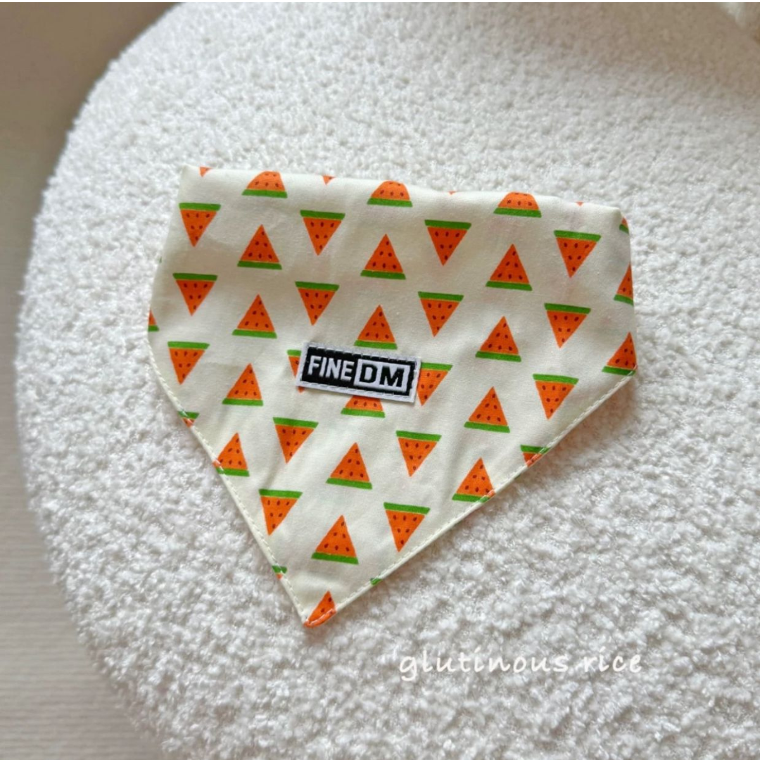 Chapeu + Bandana Melancia