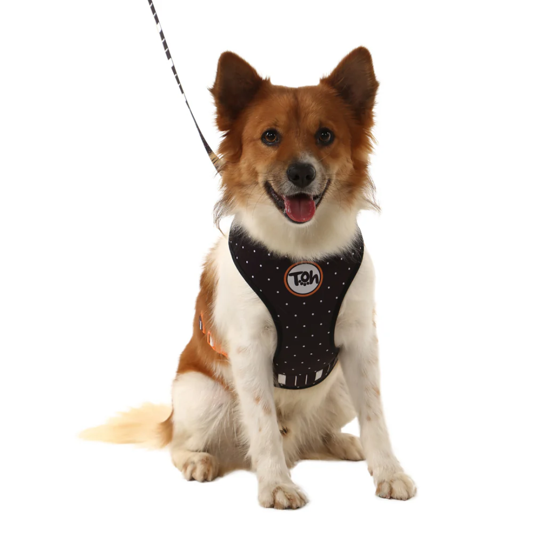 Peitoral Neocomfy e Guia Eclipse M