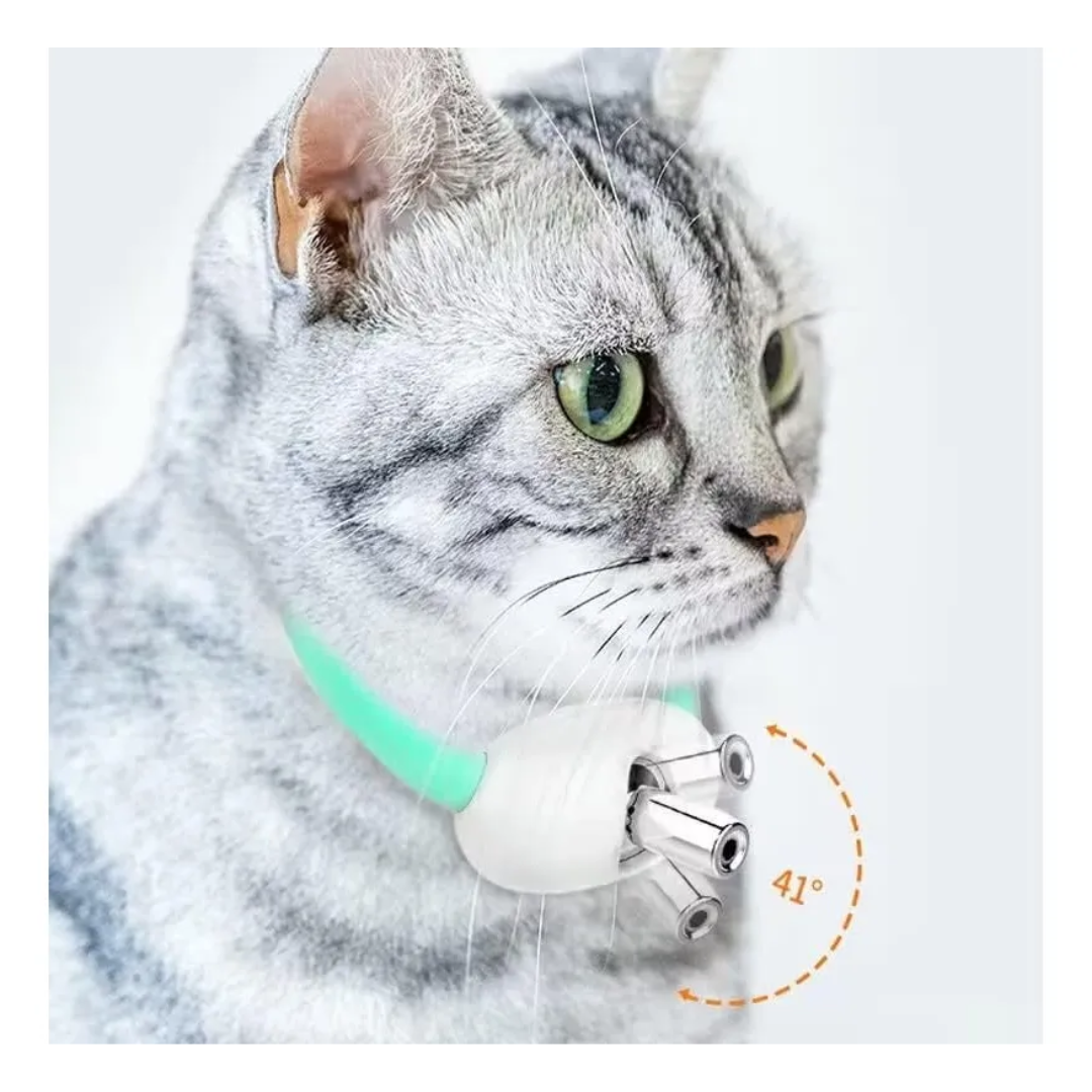 Coleira Laser Gatos