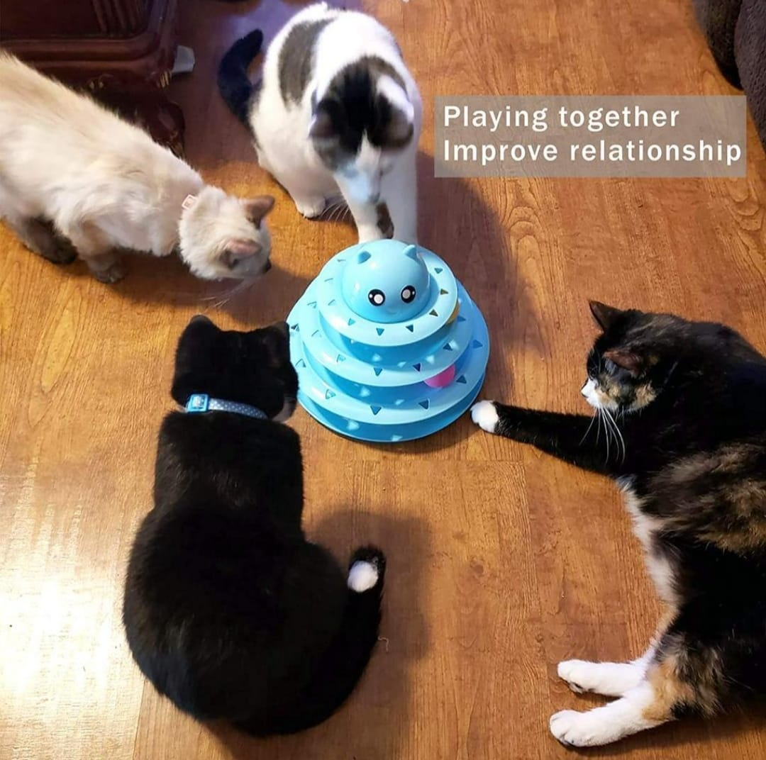 Torre De Bolinhas Gatos