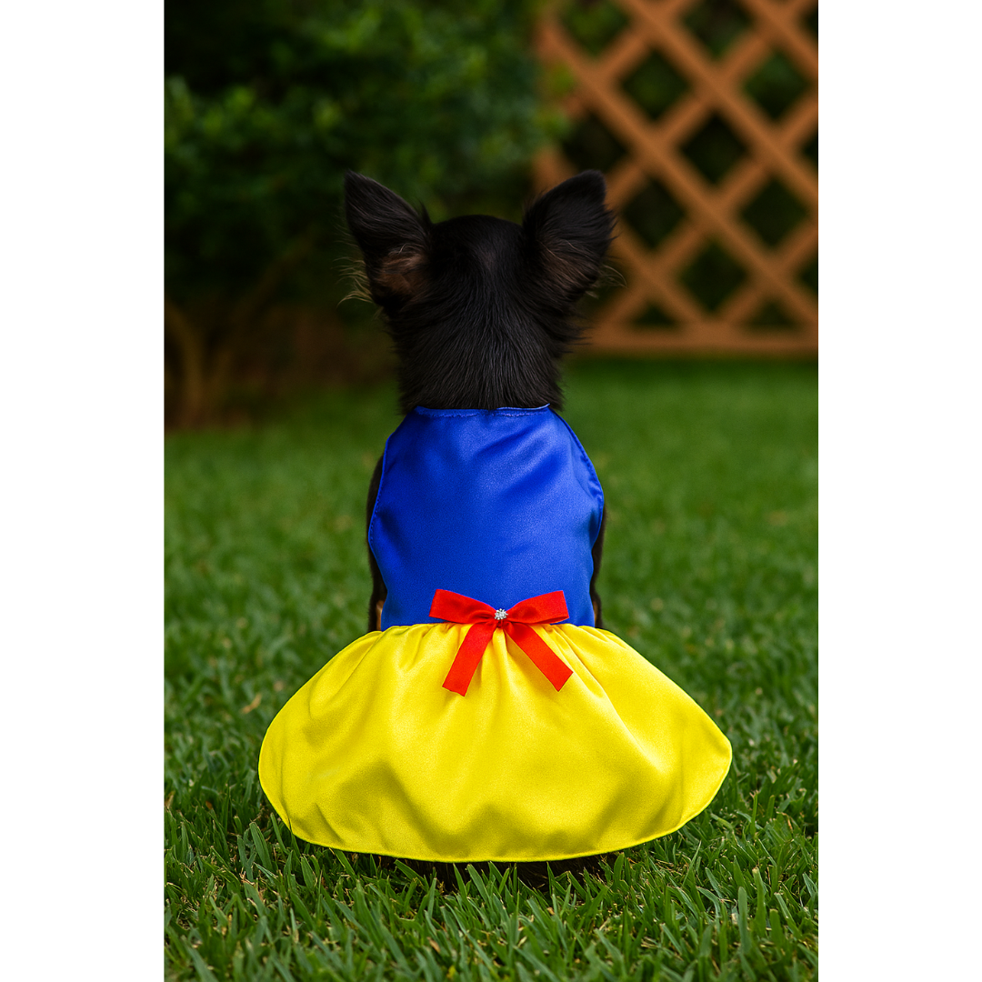 Fantasia Branca de Neve