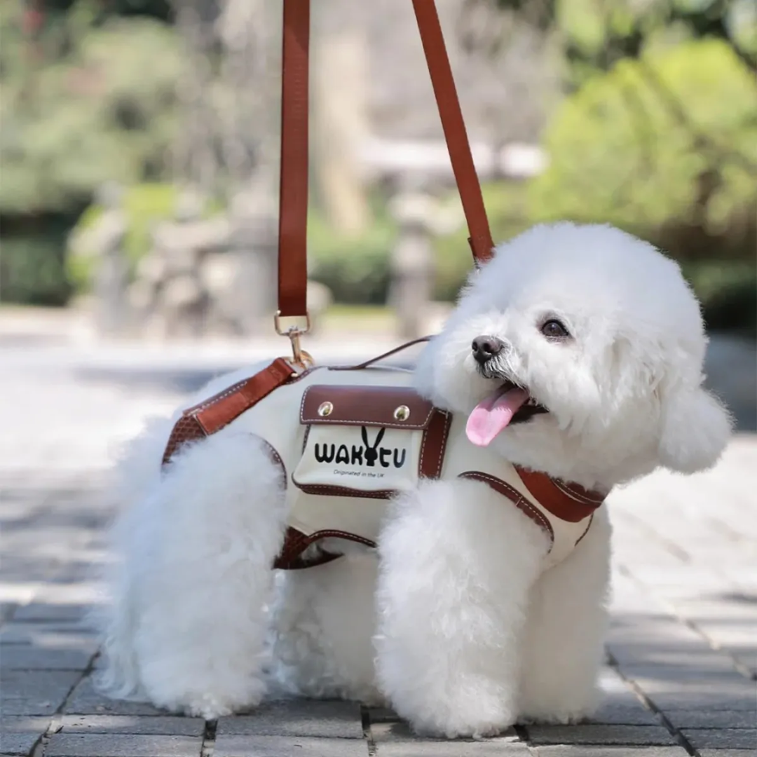 Bolsa De Transporte Pet Ombro