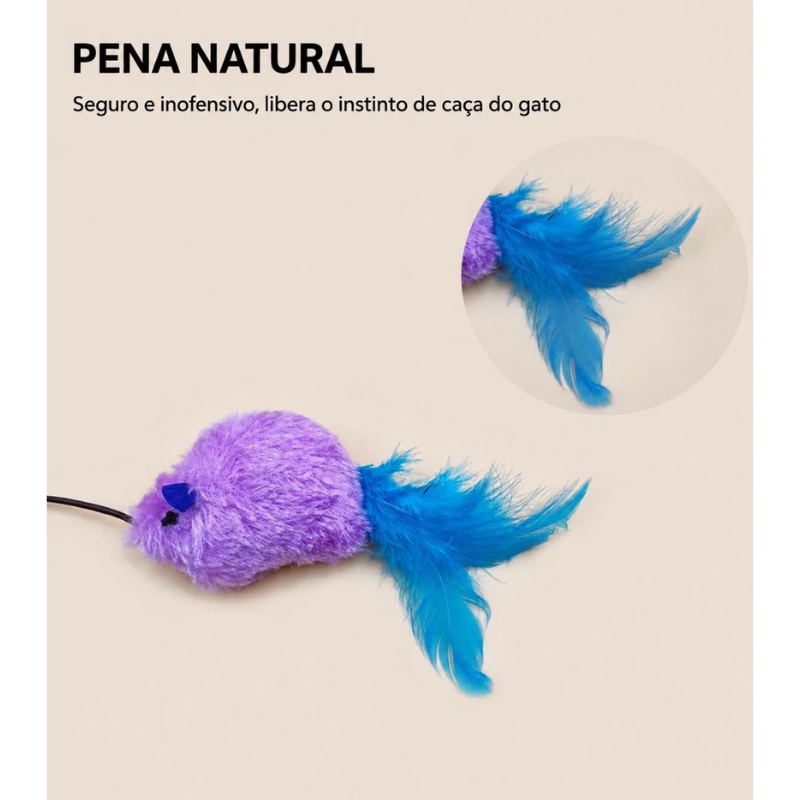 Ratinho com Elastico