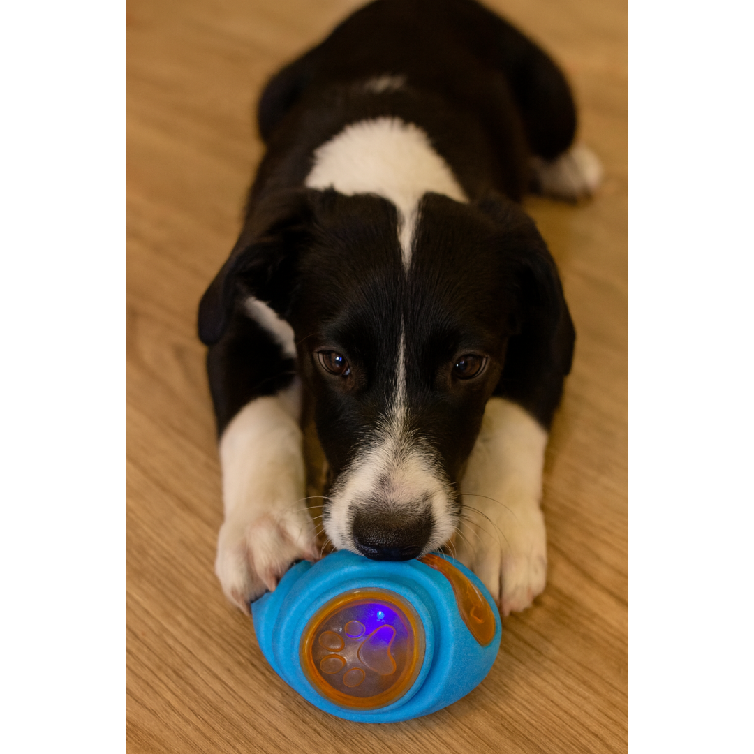 Bola Led Oval Resistente