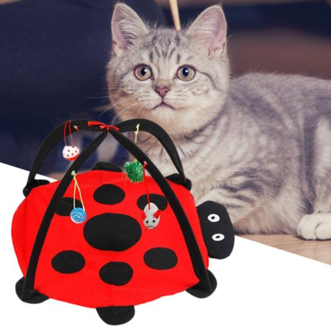 Cabana Interativa Gatos