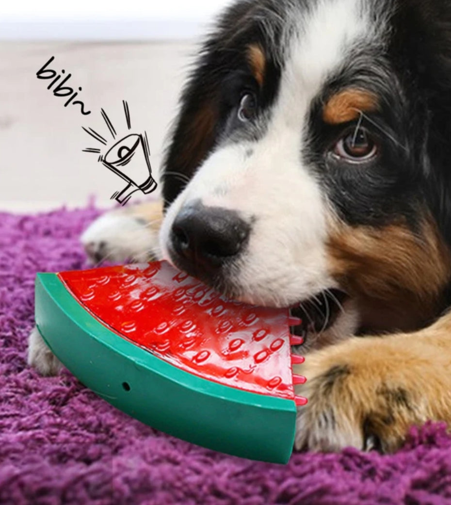 Brinquedo Gelado Frutas