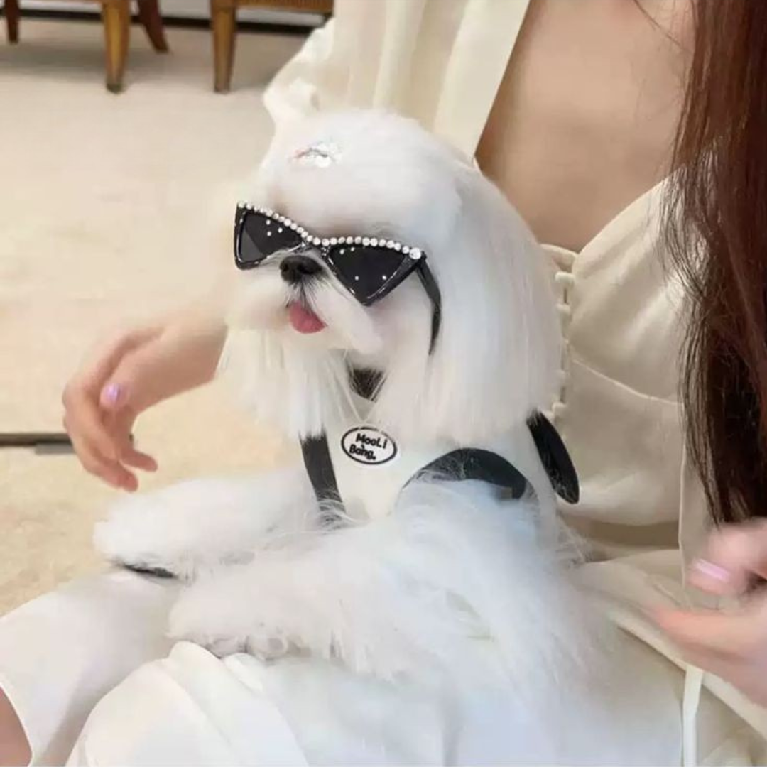 Óculos Triangular com Strass