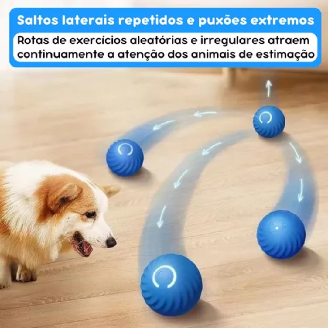 BOLA MOTION PULA-PULA PEQUENA LARANJA CAES