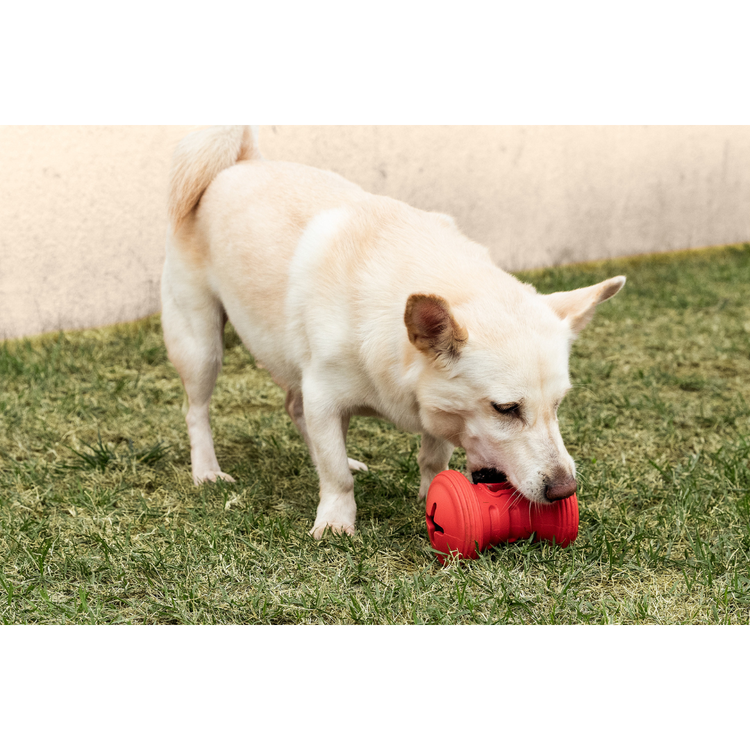 GIRA SNACK - ROLLER (S)