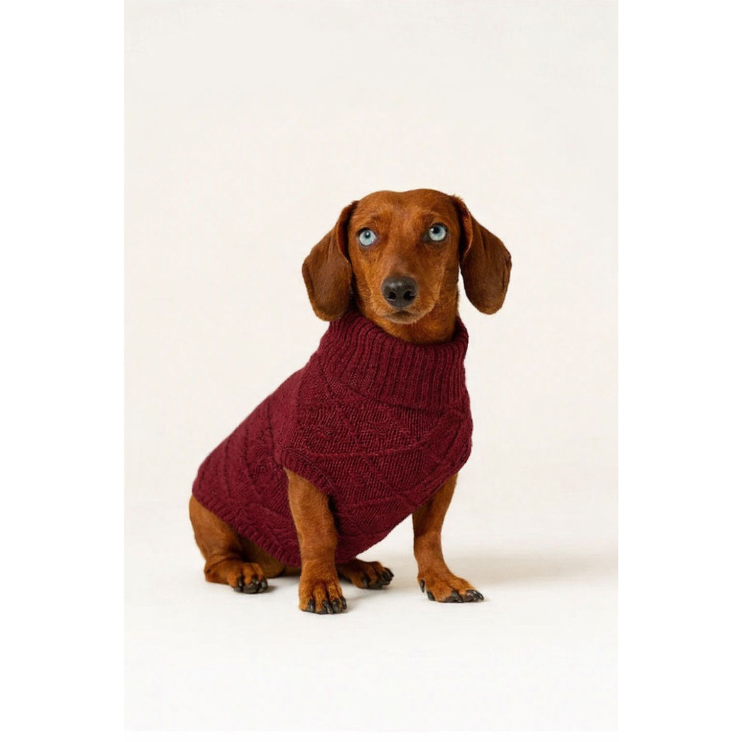 Roupinha Dachshund 3D