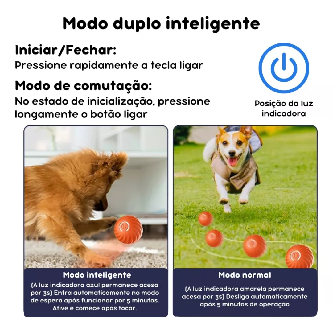 BOLA MOTION PULA-PULA PEQUENA LARANJA CAES