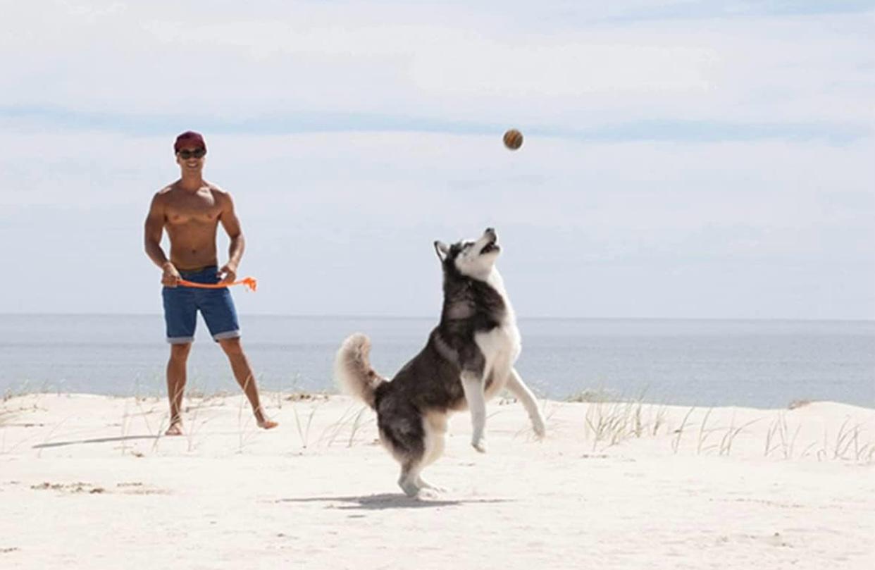 Lançador De Bolinha Para Cachorro