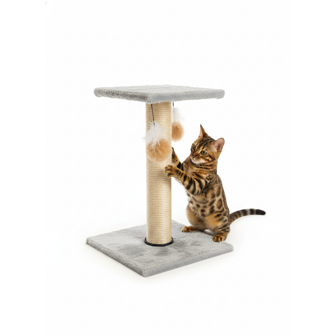 Arranhador Plataforma