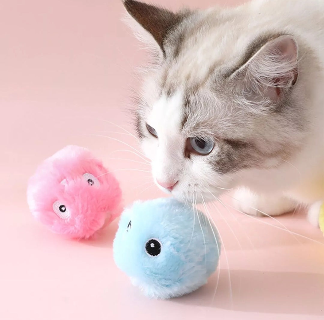 Passarinho com Som e Cat Nip