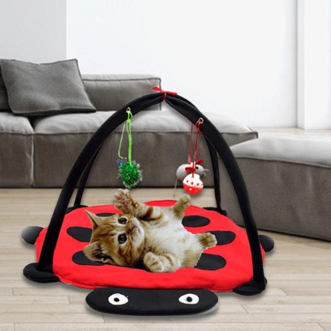 Cabana Interativa Gatos