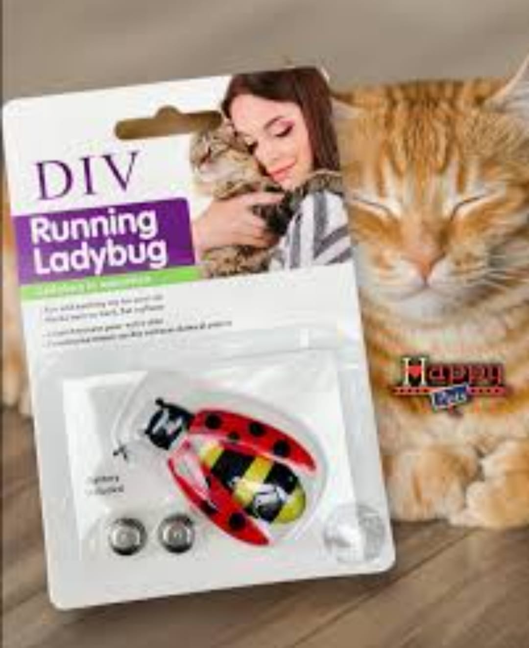 Joaninha Eletrônicas Para Gatos